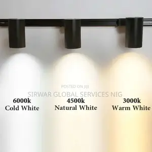 Wall Track Light