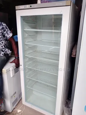 Standing Glass Freezer for Selling of Drinks