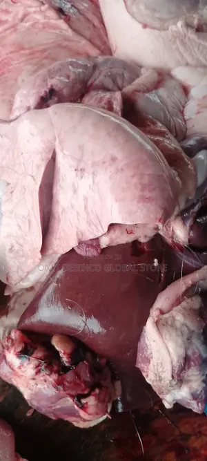 Fresh Pork Pig Meat 1kg