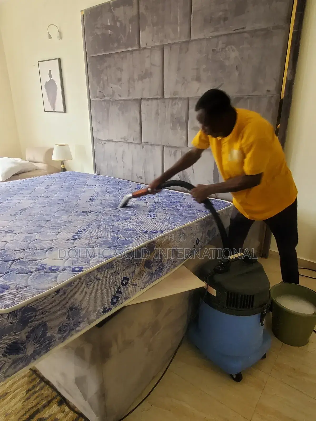 Qualified Sofa And Mattress Cleaning Company