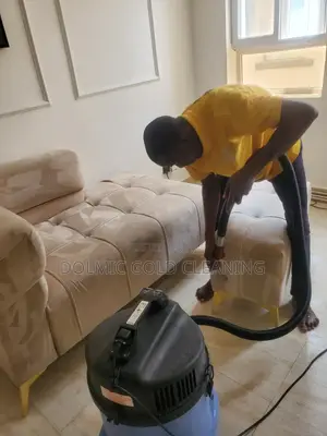 Need Professional Sofa and Rug Cleaners?
