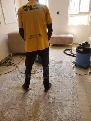 Need Professional Sofa and Rug Cleaners?