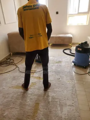 Need Professional Sofa and Rug Cleaners?