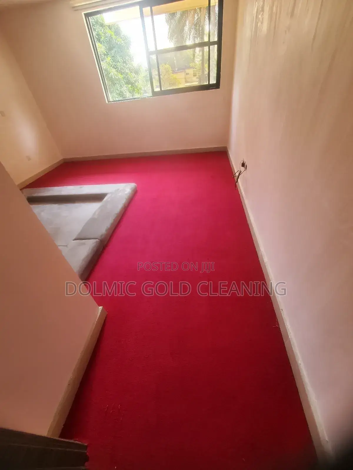 Best Advance Carpet and Rug Cleaners