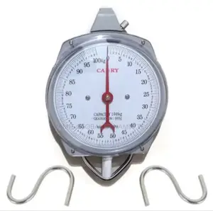 Camry Analog Hanging Scale