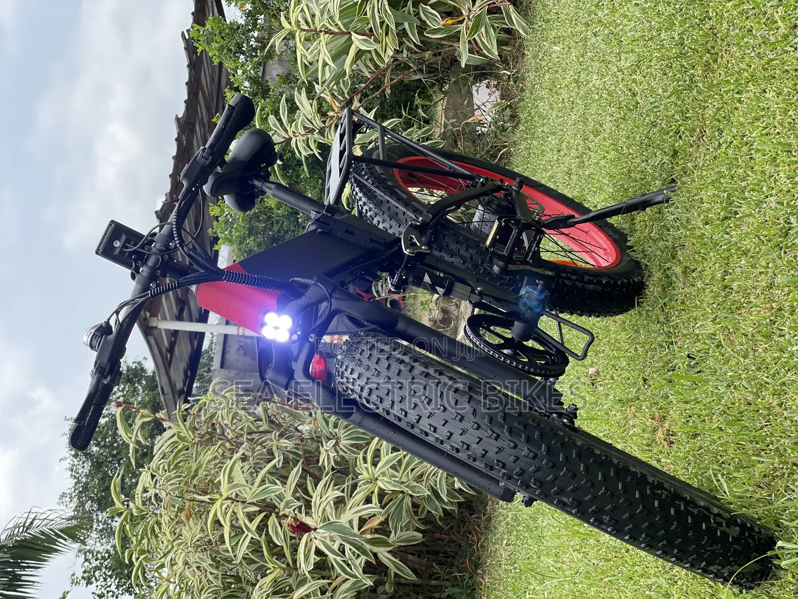 Foldable Electric Bike / E Bike