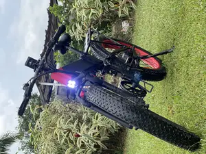Foldable Electric Bike / E Bike