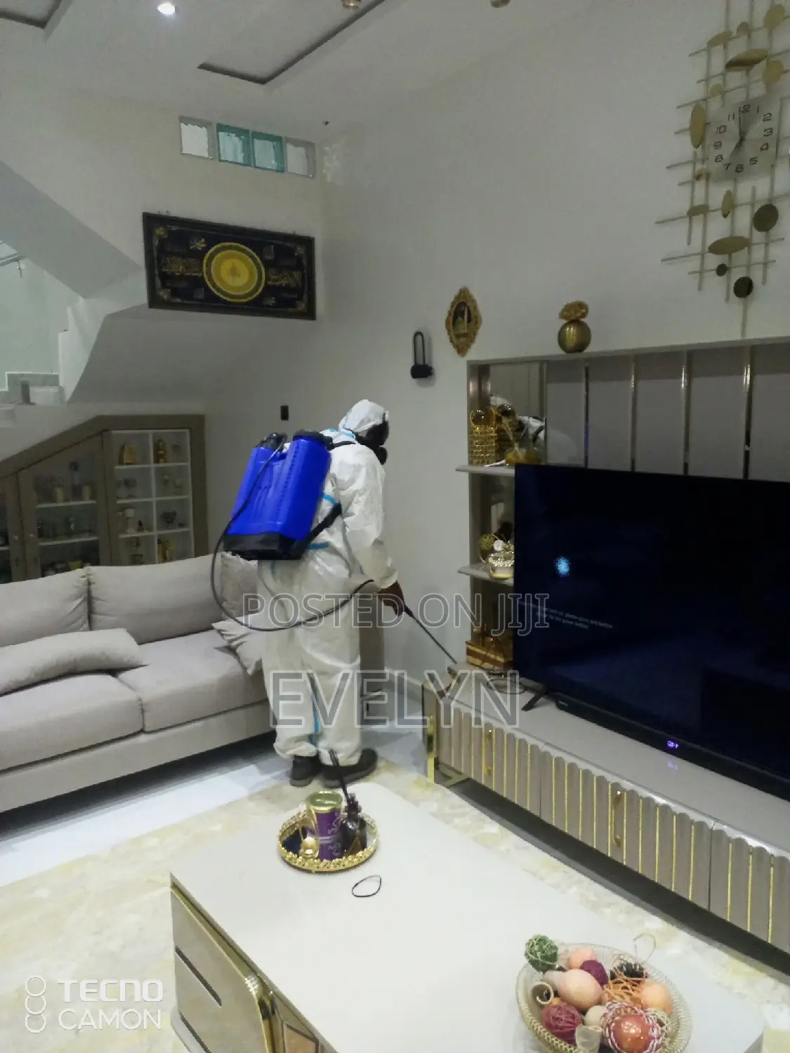 Fumigation Company in Abuja