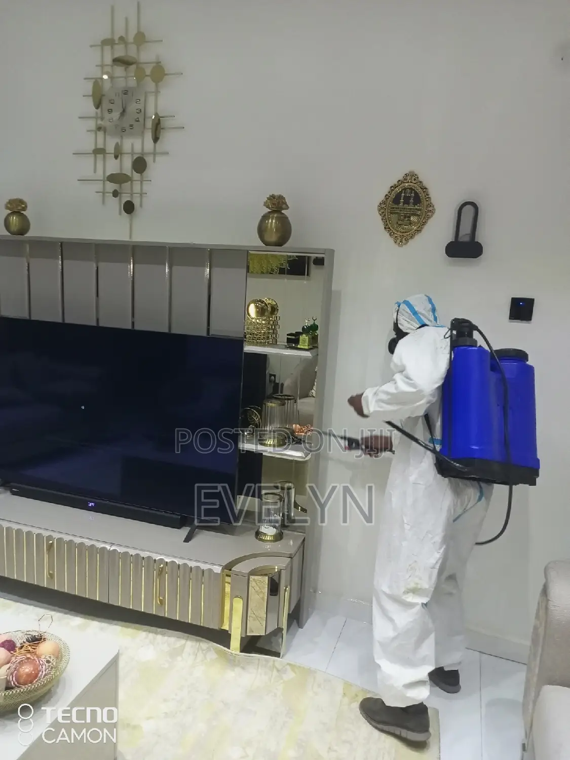 Fumigation Company in Abuja