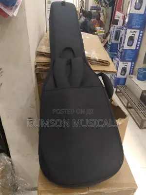Professional Guitar Bags