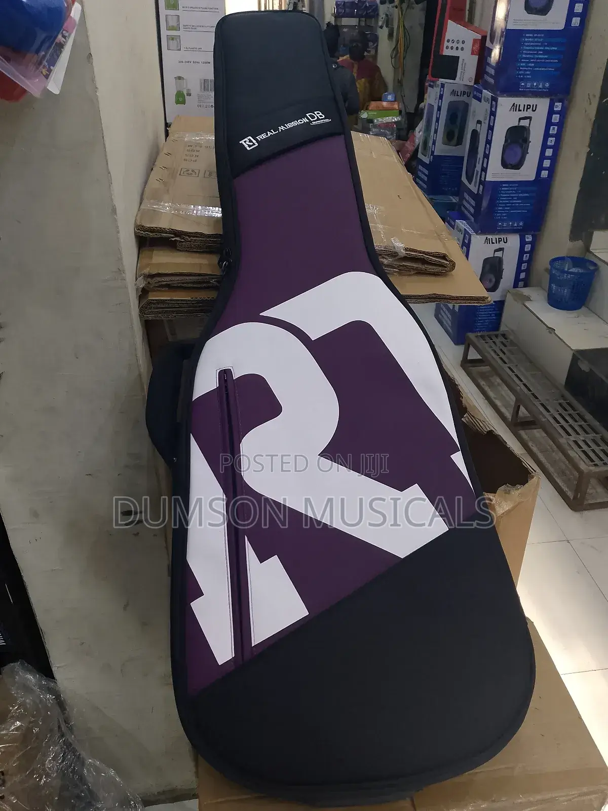 Professional Guitar Bags