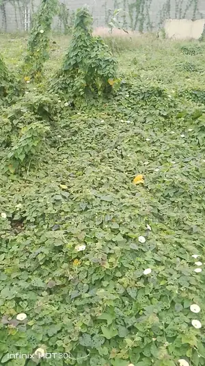 Mixed Used Land Selling at Egbeda