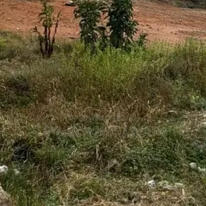 A Very Nice Located Land at Ojodu
