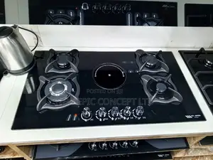 Special Black Electric and Gas Burner