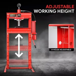 30 Ton Hydraulic Shop Press