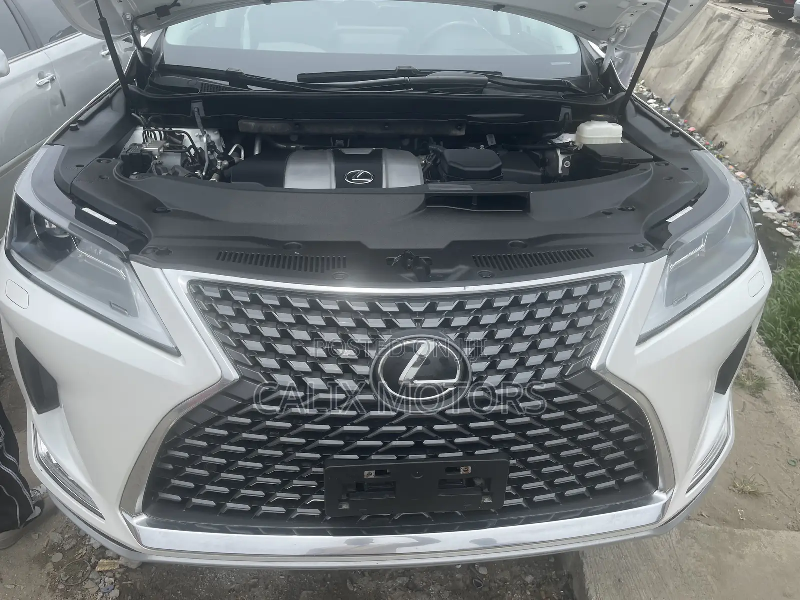 Lexus RX 2021 White