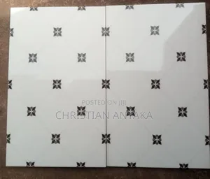 Tiles and Wall Tiles