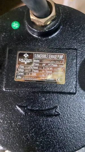 10hp Eva Sewage Pump