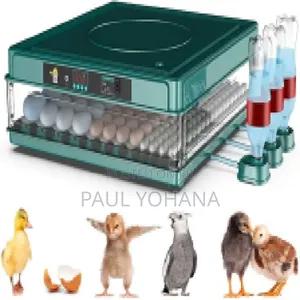 130-Eggs Incubator