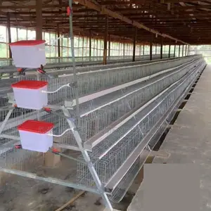 120-bird Layer Cage With Superior Ventilation Easy Mainten