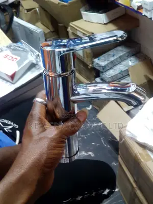 Stainless Basin Mixer Tap