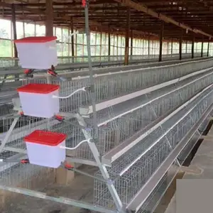 Efficient 120-bird Capacity Layer Cage For Poultry Farms