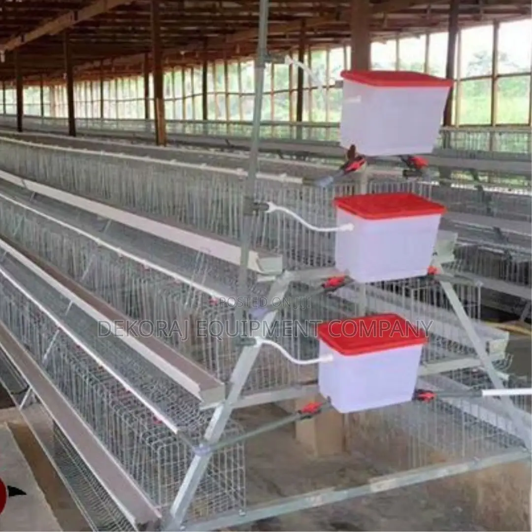 120-bird Layer Cage With Optimal Space Ventilation