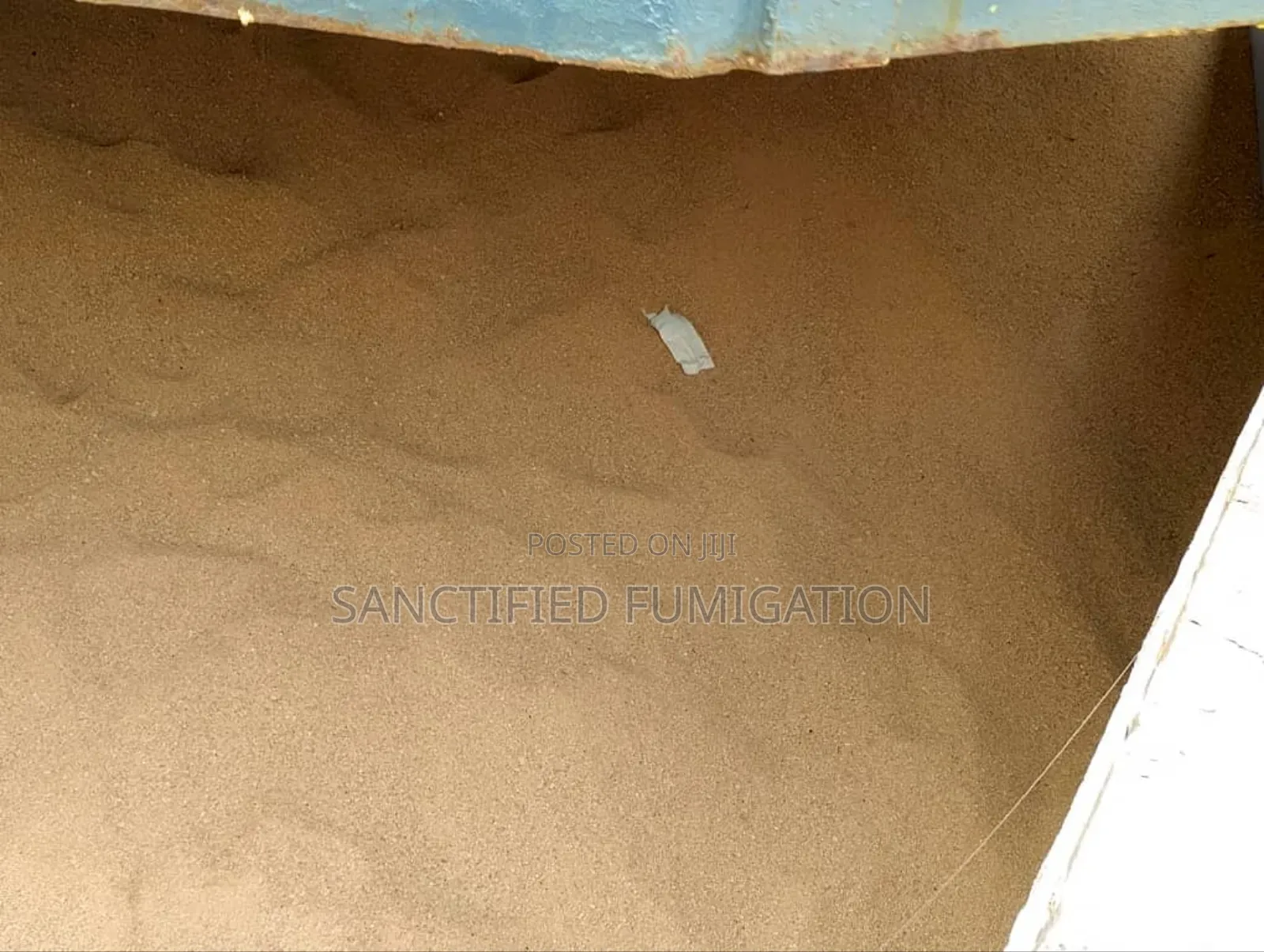 Dry Bulk Container and Vessel Fumigation