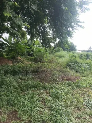 1000 Acres of Land for Sale Along Saki Iseyin Road C of O