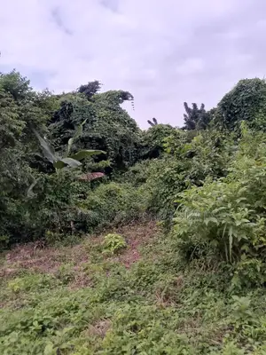 1000 Acres of Land for Sale Along Saki Iseyin Road C of O