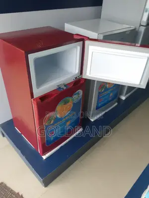 The Premium Selling 80W Refrigerator ''Pv-Dd2036lr''