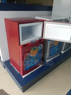 Newest 80W Polystar Double Door Refrigerator Pv-Dd2306lr