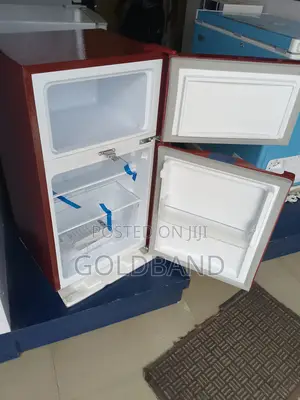 Modern Double Door Refrigerator ''Pv-Dd2306lr''