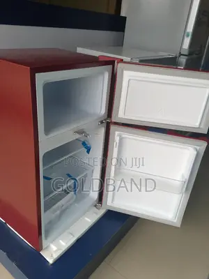 New Modern Double Door Refrigerator Pv-Dd2306lr