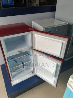 Standard 80W Double Door Refrigerator ''Pv-Dd2306lr"
