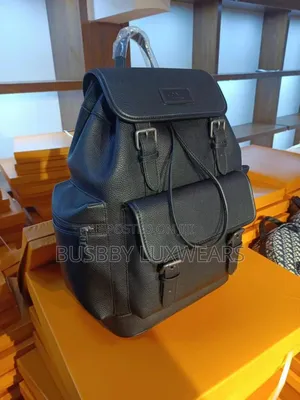 Louis Vuitton Luxury Backpack