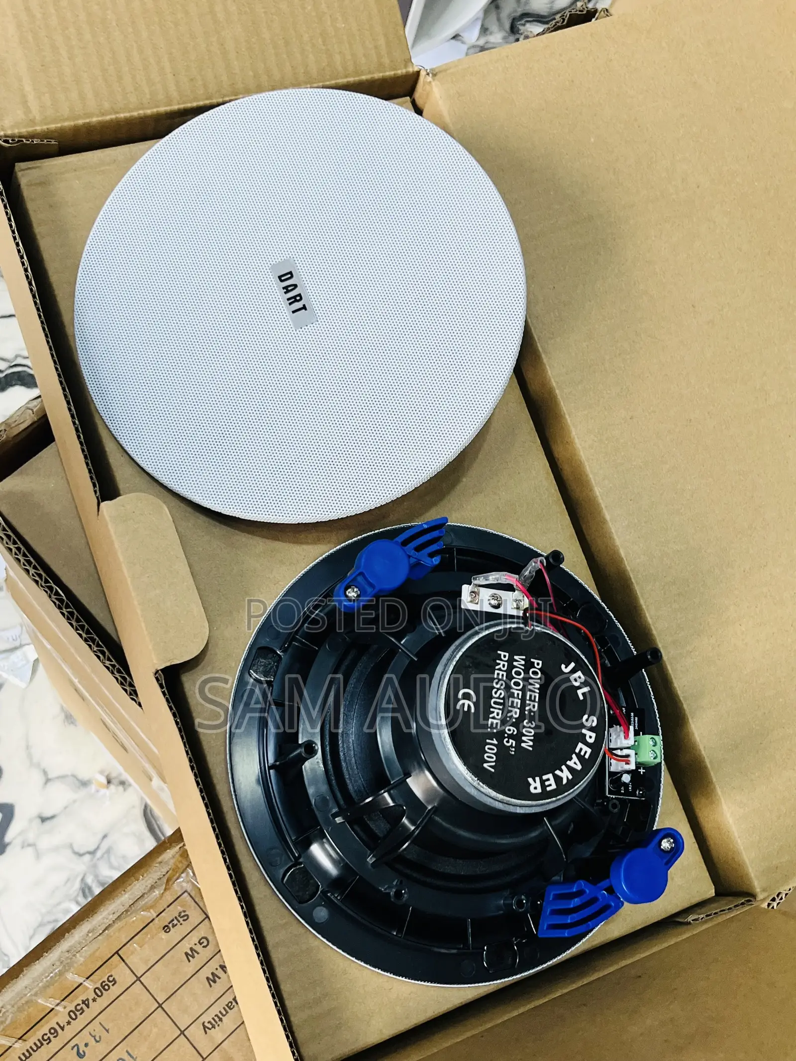 Dart 2 in 1 Bluetooth Ceiling Speaker