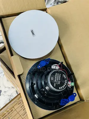Dart 2 in 1 Bluetooth Ceiling Speaker