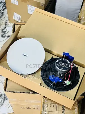 Dart 2 in 1 Bluetooth Ceiling Speaker