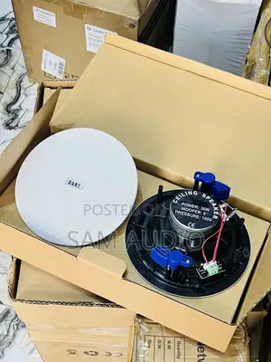 Dart 2 in 1 Bluetooth Ceiling Speaker