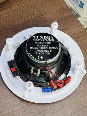 80watts Crossover Ceiling Speaker