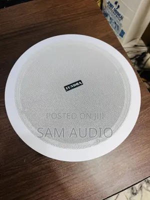 80watts Crossover Ceiling Speaker