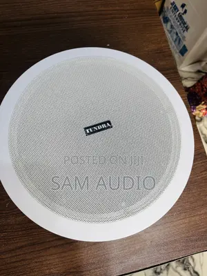 80watts Crossover Ceiling Speaker