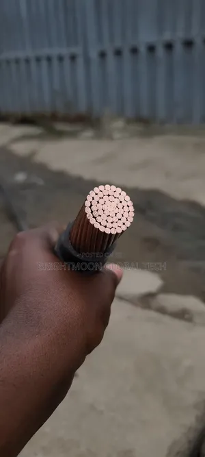 500mm Nigeria PVC PVC Copper Armoured Cable