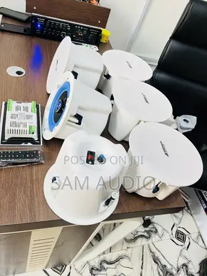 Bose(Six) Ceiling Speaker and One Inwall Amplifier