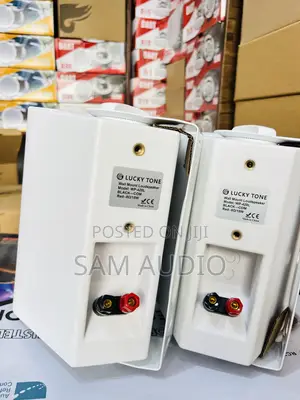 Lucky Tone Outdoor Speaker
