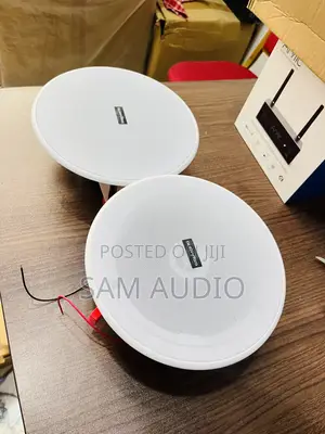 Surpass 2 in 1 Bluetooth Ceiling Speaker With Remote