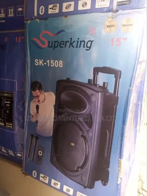 Superking PA System 15inches Big Battery