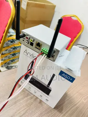 Arylic A50+