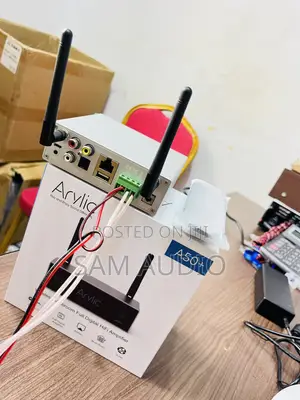 Arylic A50+
